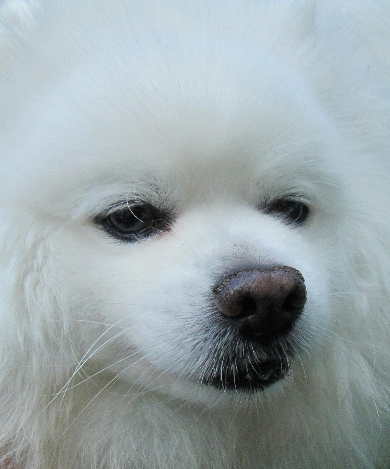 CLICK THE CAMERA ICON TO ENTER THE ONLINE ALBUMS