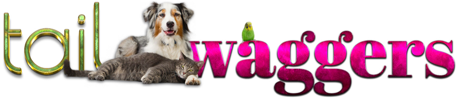 CLICK THE CAMERA ICON TO ENTER THE ONLINE ALBUMS