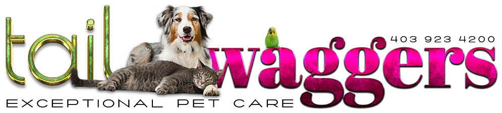 Tail waggerz pet best sale care